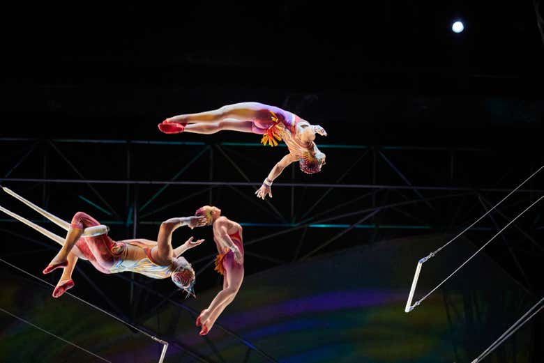 Entradas para Mystère, Circo del Sol