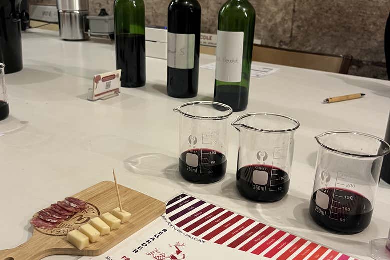 Taller de elaboración de vino en el Museo del Vino y el Comercio