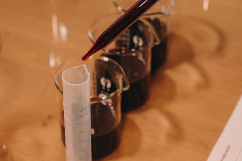Taller de elaboración de vino en el Museo del Vino y el Comercio