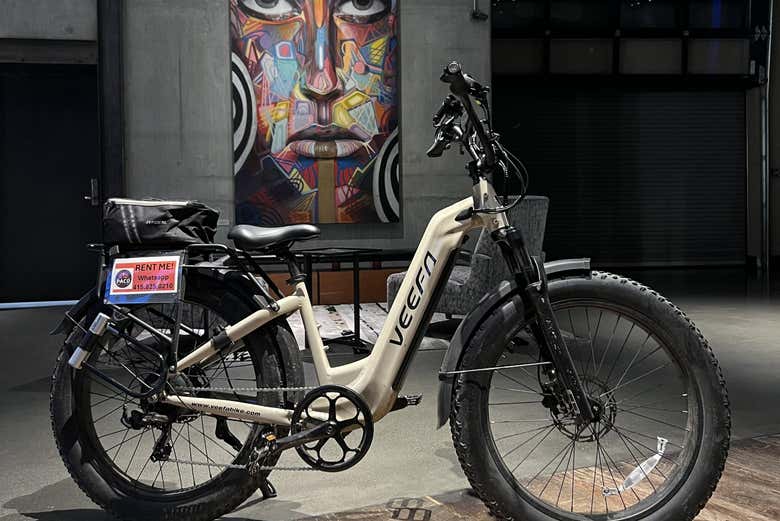 Tour en bicicleta eléctrica por San Francisco