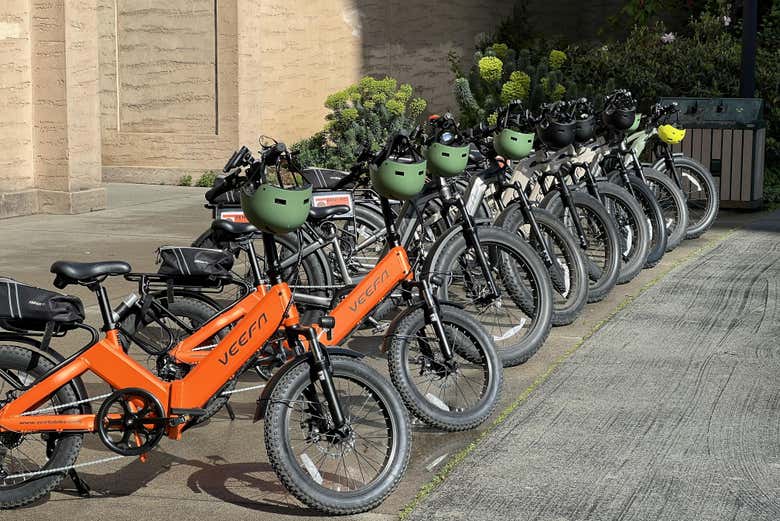 Tour en bicicleta eléctrica por San Francisco