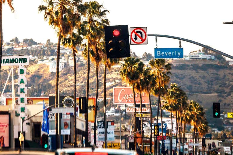 Visita guiada por el Downtown de Los Ángeles