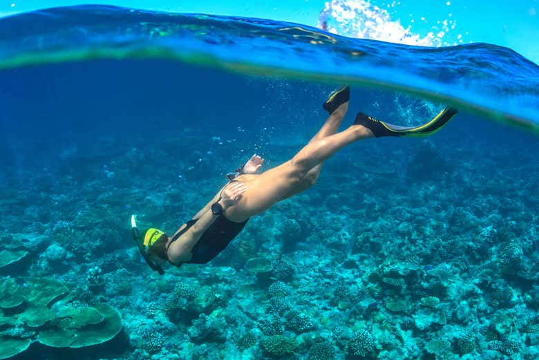 Snorkel en La Parguera