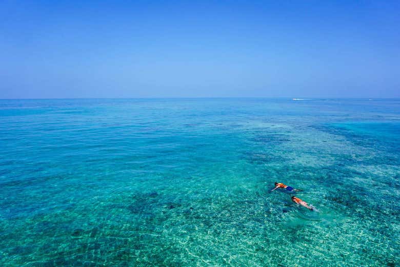 Snorkel en La Parguera