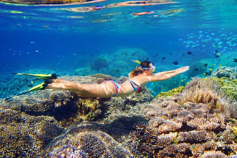 Snorkel en La Parguera