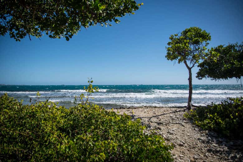 Snorkel en La Parguera