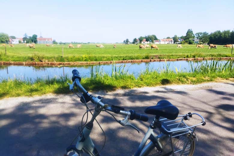 Tour en bicicleta por la campiña holandesa