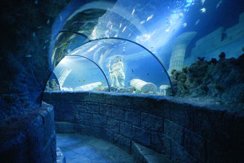 Entrada a SEA LIFE® Oporto