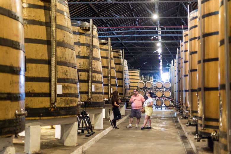 Visita a la bodega Real Companhia Velha + Tren turístico