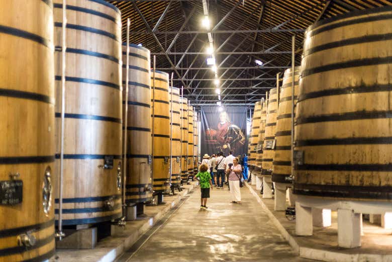 Visita a la bodega Real Companhia Velha + Tren turístico