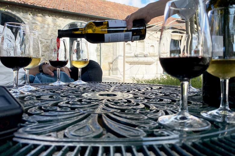 Tour de vinos por Oporto + Visita a una bodega