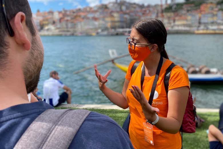Tour de vinos por Oporto + Visita a una bodega