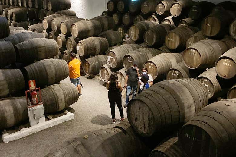 Tour de vinos por Oporto + Visita a una bodega