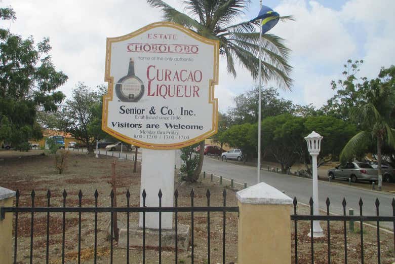 Tour por Willemstad con degustación de licor