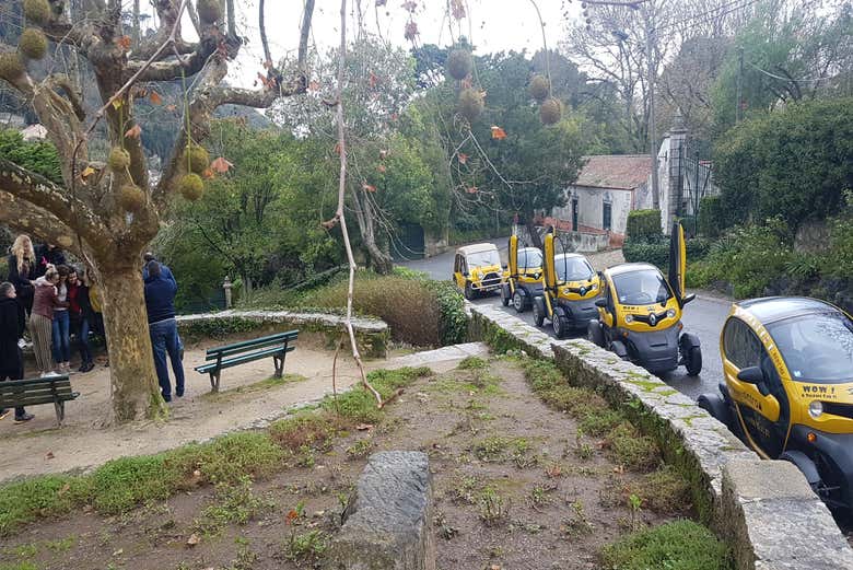 Tour en coche eléctrico por Sintra