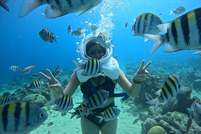 Seawalker en Willemstad