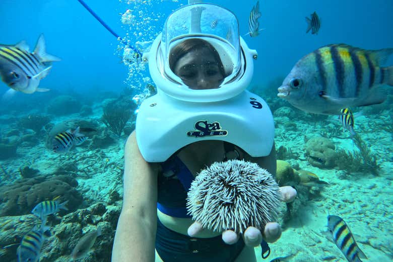 Seawalker en Willemstad