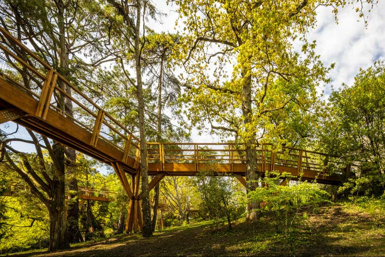 Entrada a la Fundación Serralves