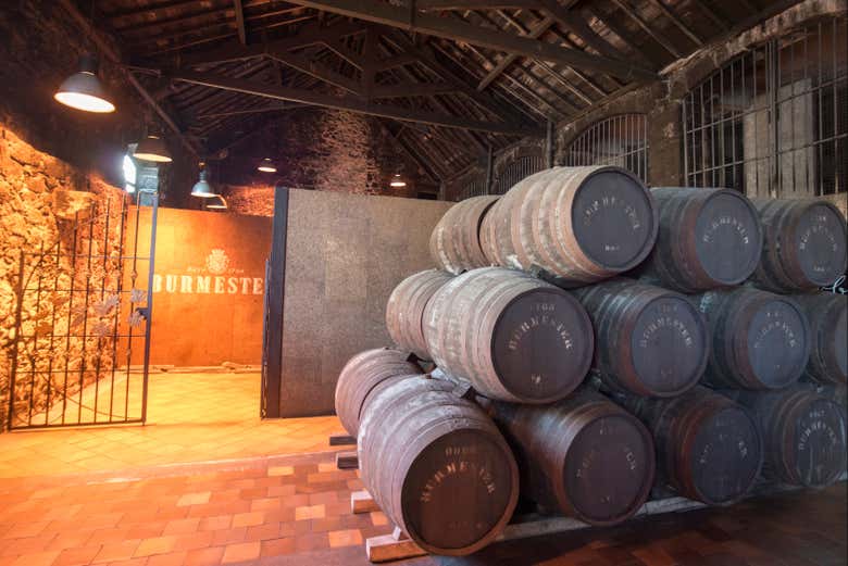 Visita a la bodega Burmester