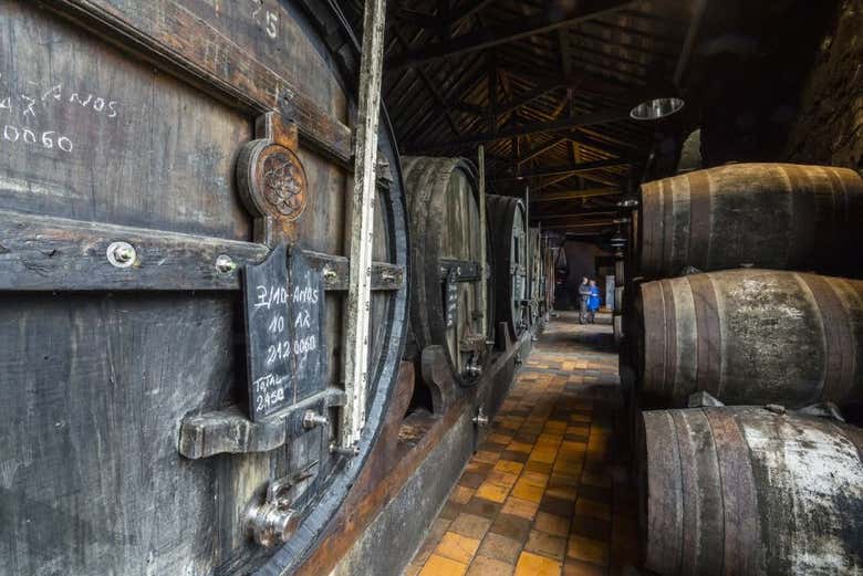Visita a la bodega Burmester
