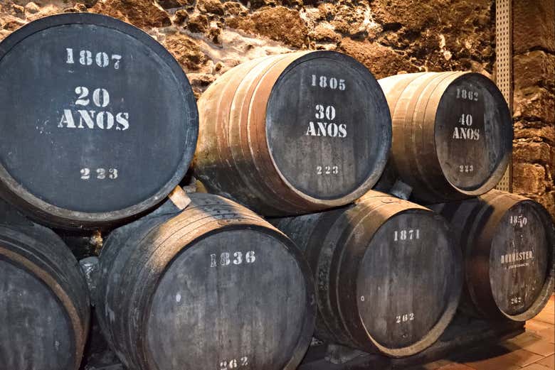 Visita a la bodega Burmester