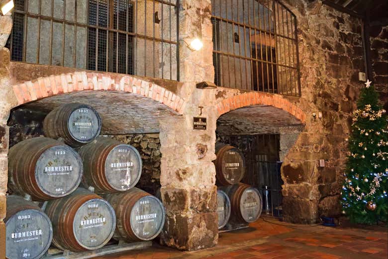 Visita a la bodega Burmester