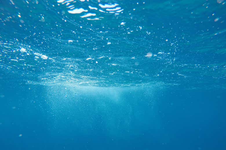 Snorkel en Funchal