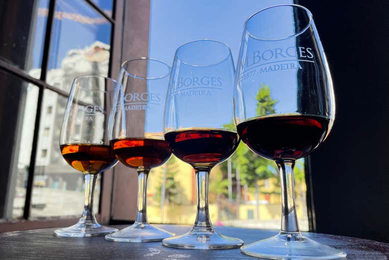 Visita a la bodega HM Borges