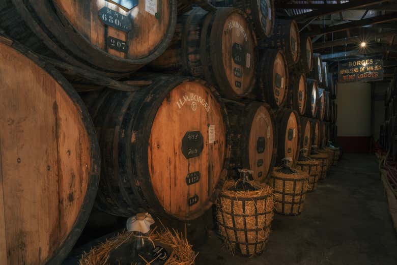 Visita a la bodega HM Borges