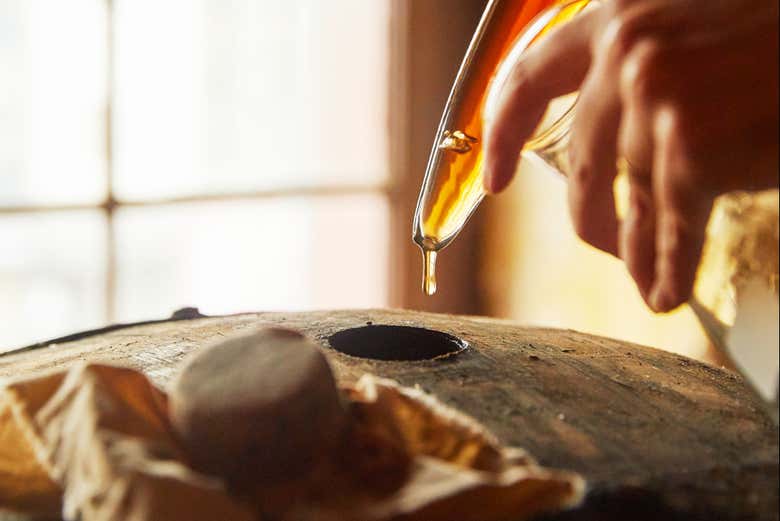 Visita a la bodega HM Borges
