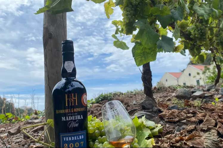 Tour gastronómico por Funchal