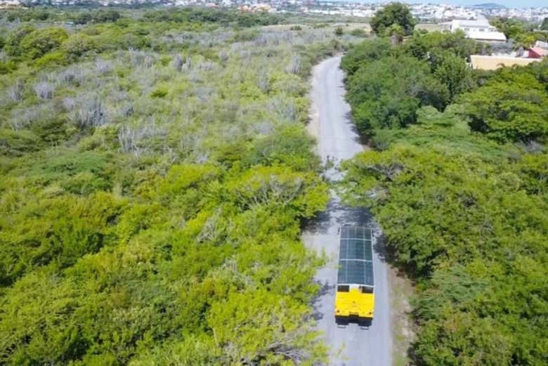 Tour en autobús anfibio por Willemstad