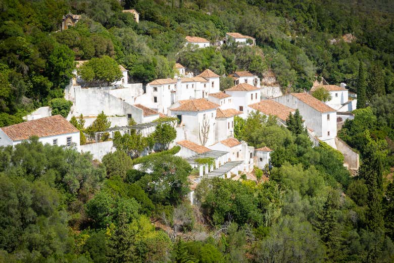Tour por la Sierra de Arrábida + Avistamiento de delfines