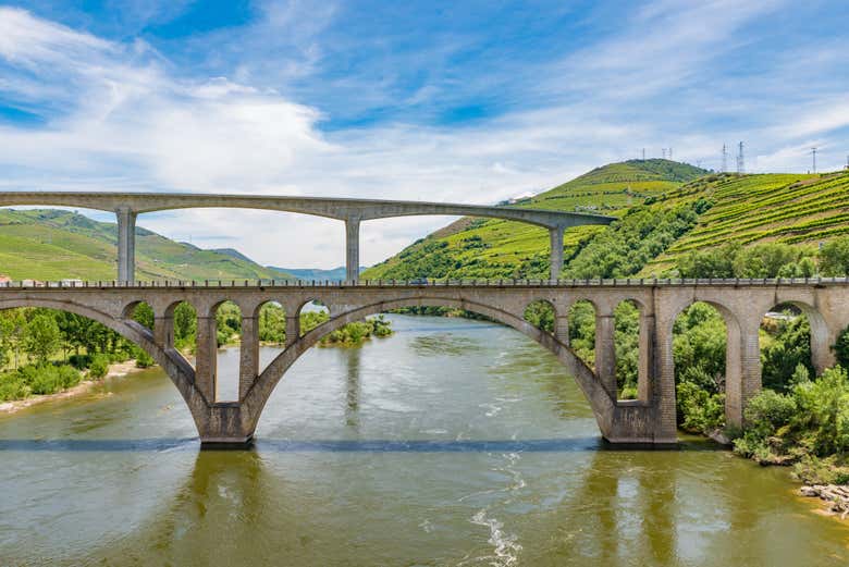 Crucero de 1 día a Régua