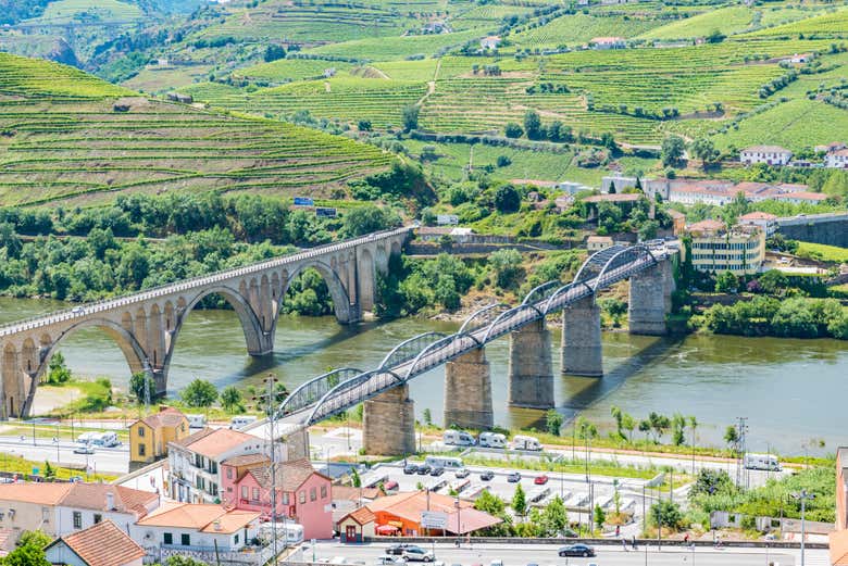 Crucero de 1 día a Régua