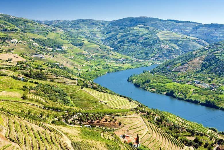 Crucero de 1 día a Régua