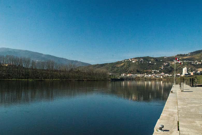 Crucero de 1 día a Régua