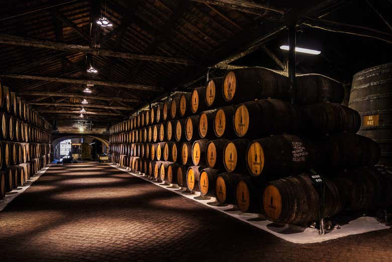 Tour por Vila Nova de Gaia y sus bodegas