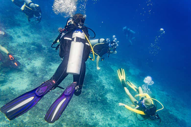 Bautismo de buceo en Garajau