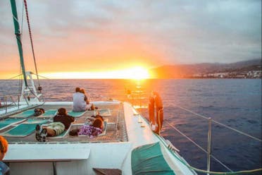 Avistamiento de cetceos al atardecer