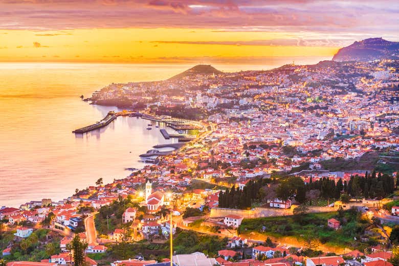 Avistamiento de cetáceos al atardecer