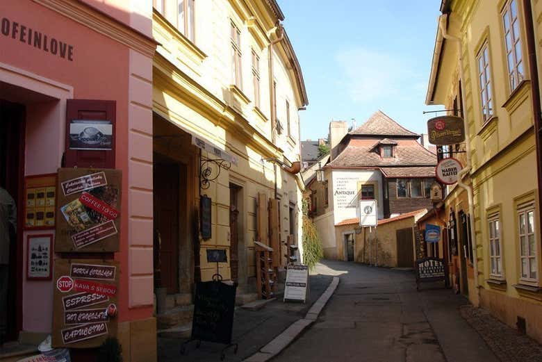 Excursión a Kutná Hora