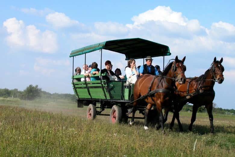 Excursión a la Puszta y espectáculo ecuestre