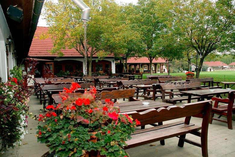 Excursión a la Puszta y espectáculo ecuestre
