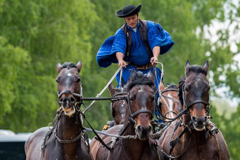 Excursión a la Puszta y espectáculo ecuestre