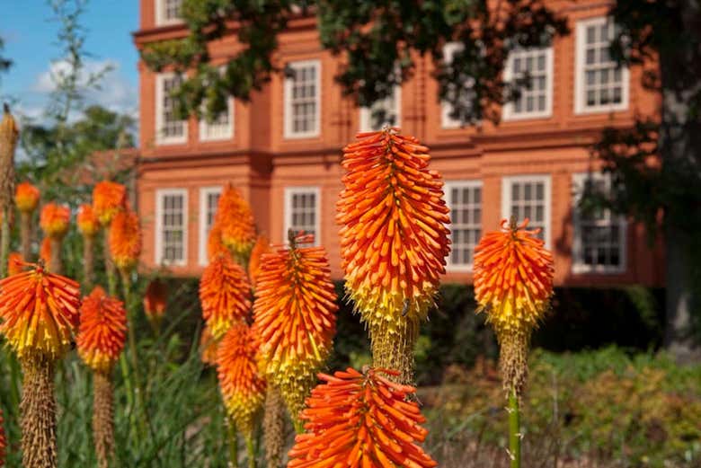 Entrada al Palacio de Kew y Real Jardín Botánico