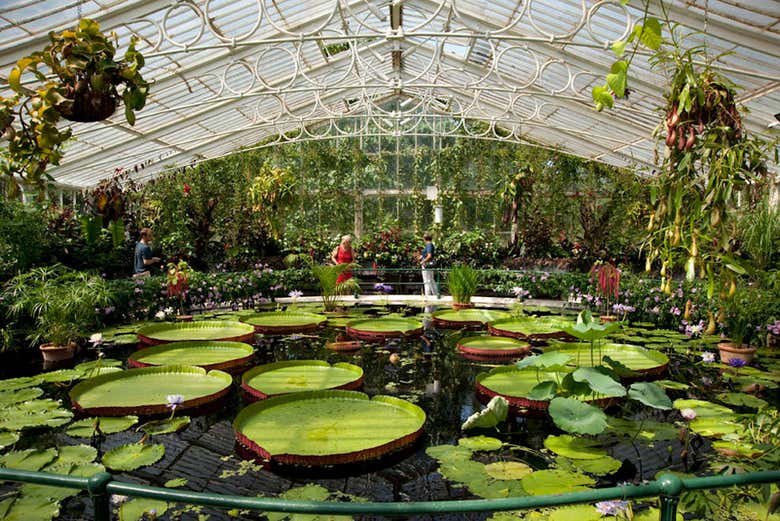 Entrada al Palacio de Kew y Real Jardín Botánico