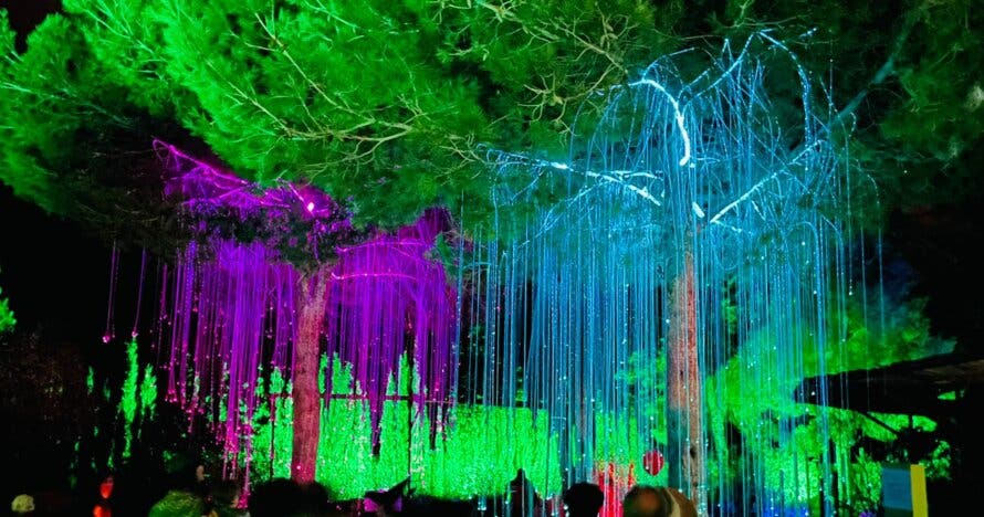 Entrada Astro Magic Light