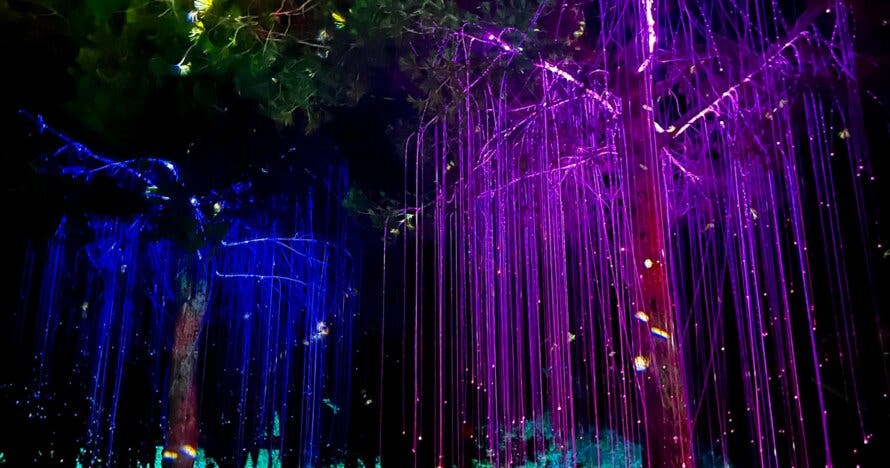 Entrada Astro Magic Light