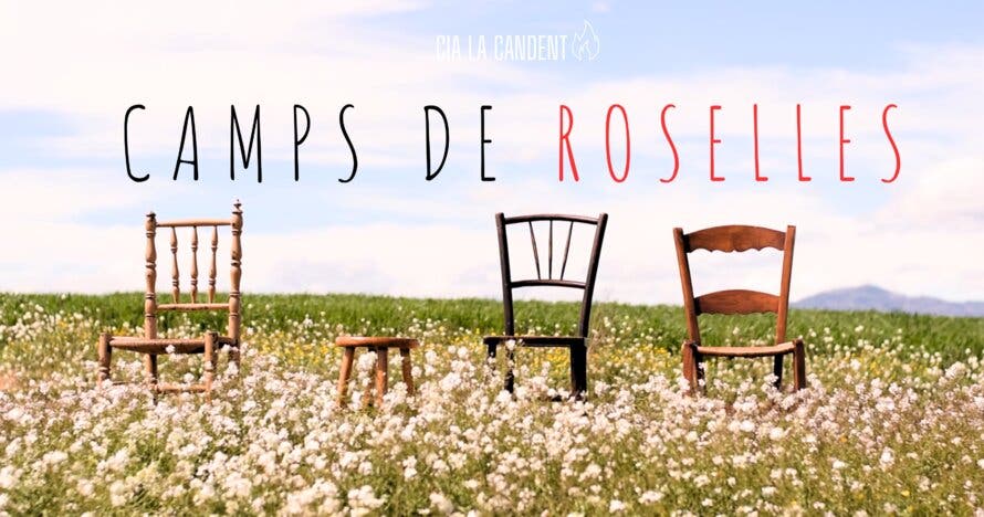 Camps de Roselles